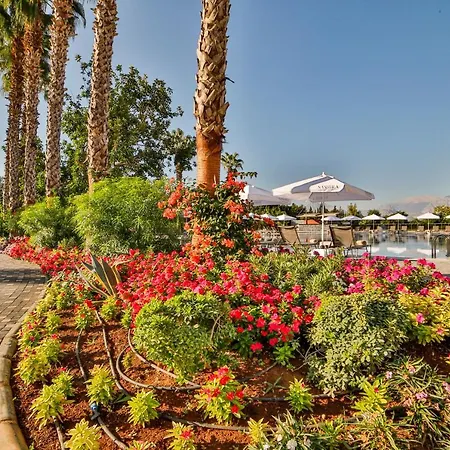 Nashira Antalya